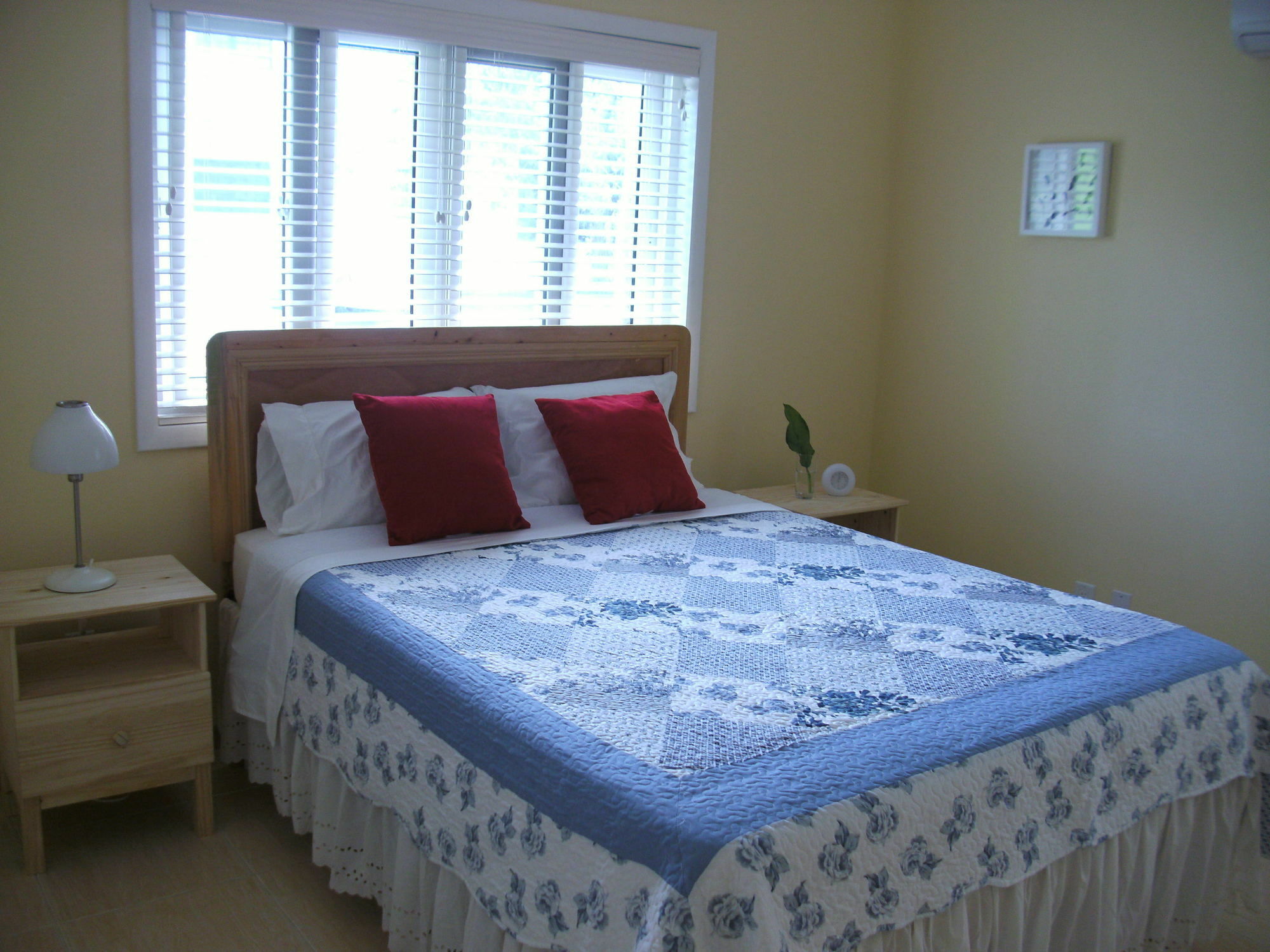 Sir Charles Guest House Palmetto Point Kültér fotó