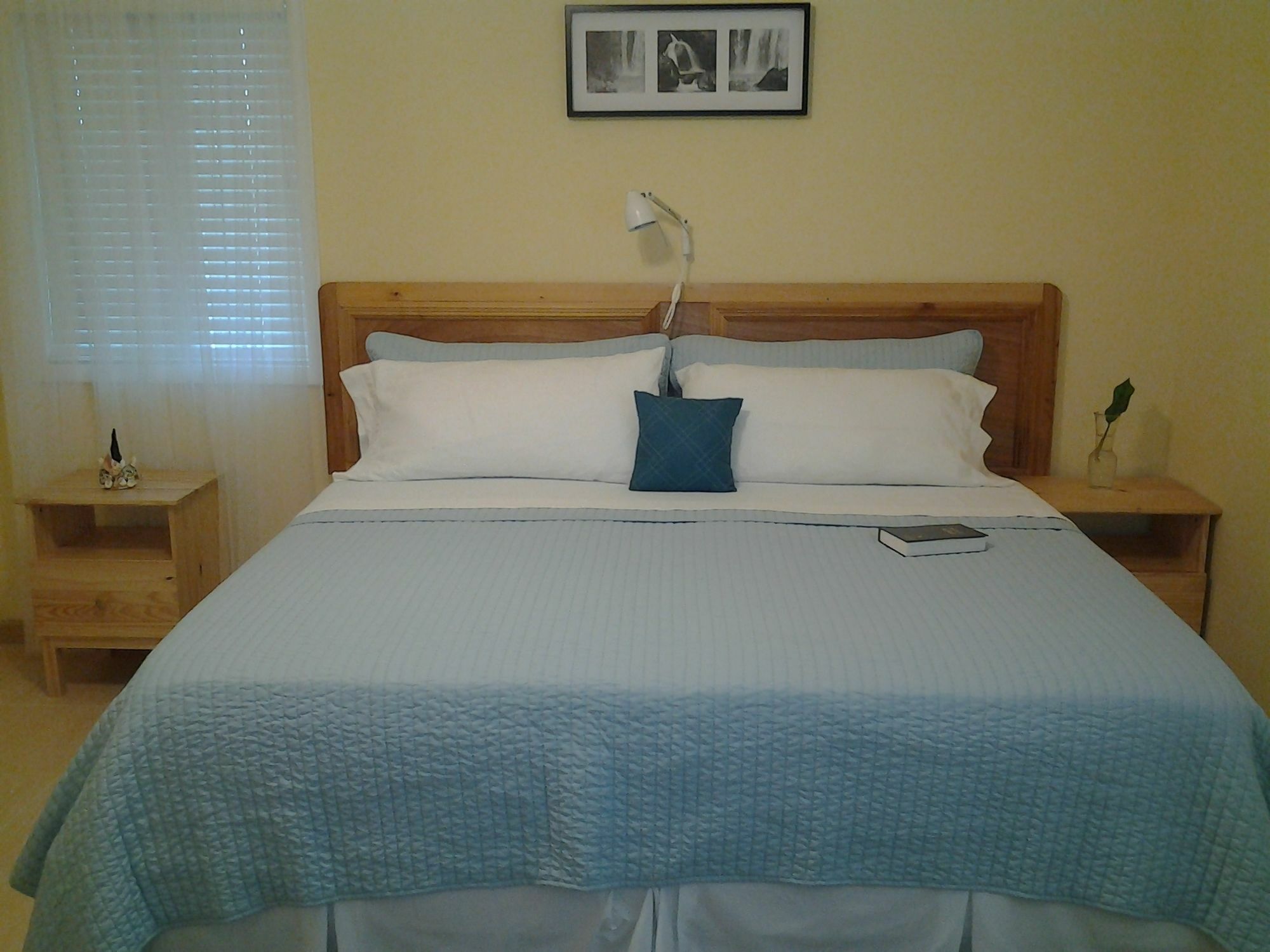 Sir Charles Guest House Palmetto Point Kültér fotó